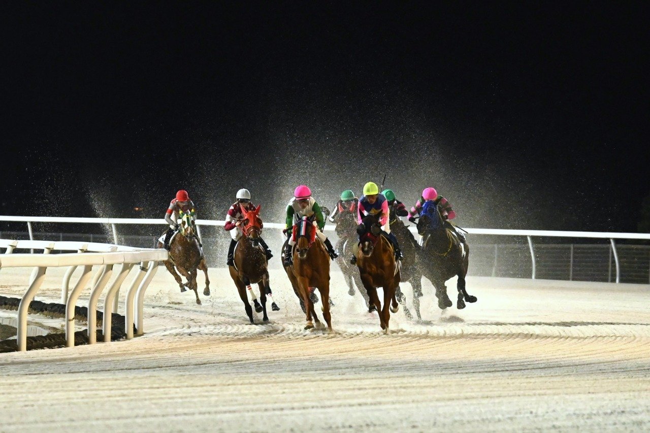 🏇 몬베츠 경마장 이미지 6